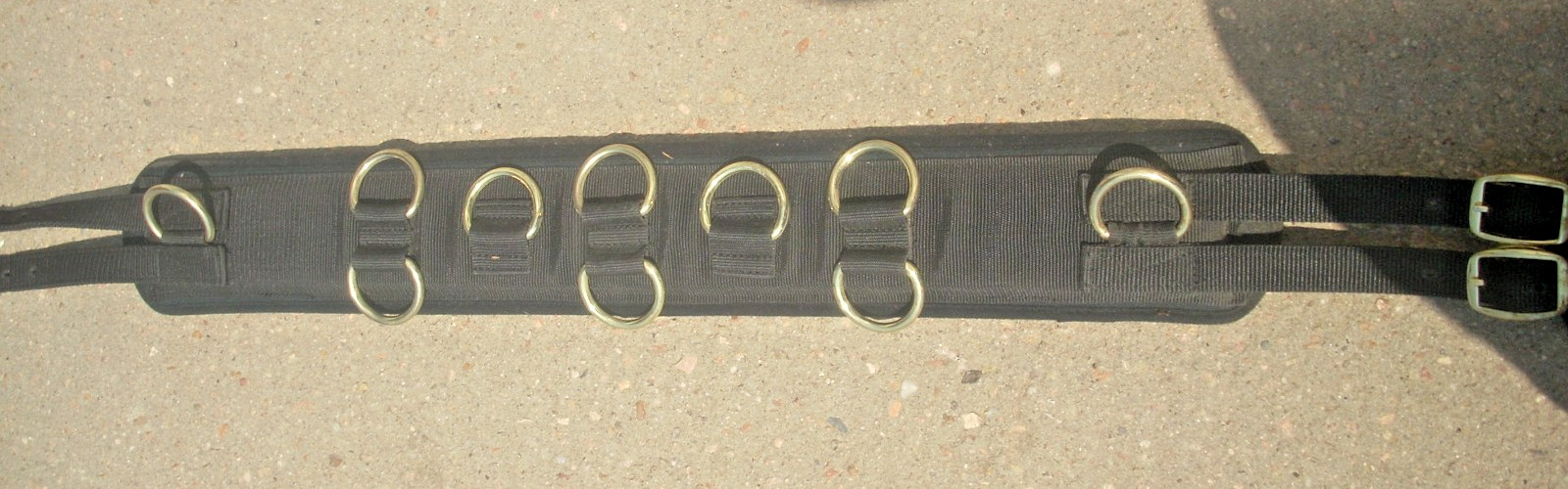 10-Ring Neoprene Lined Nylon Surcingle for Training/Lunging/Ground DrivingHorses