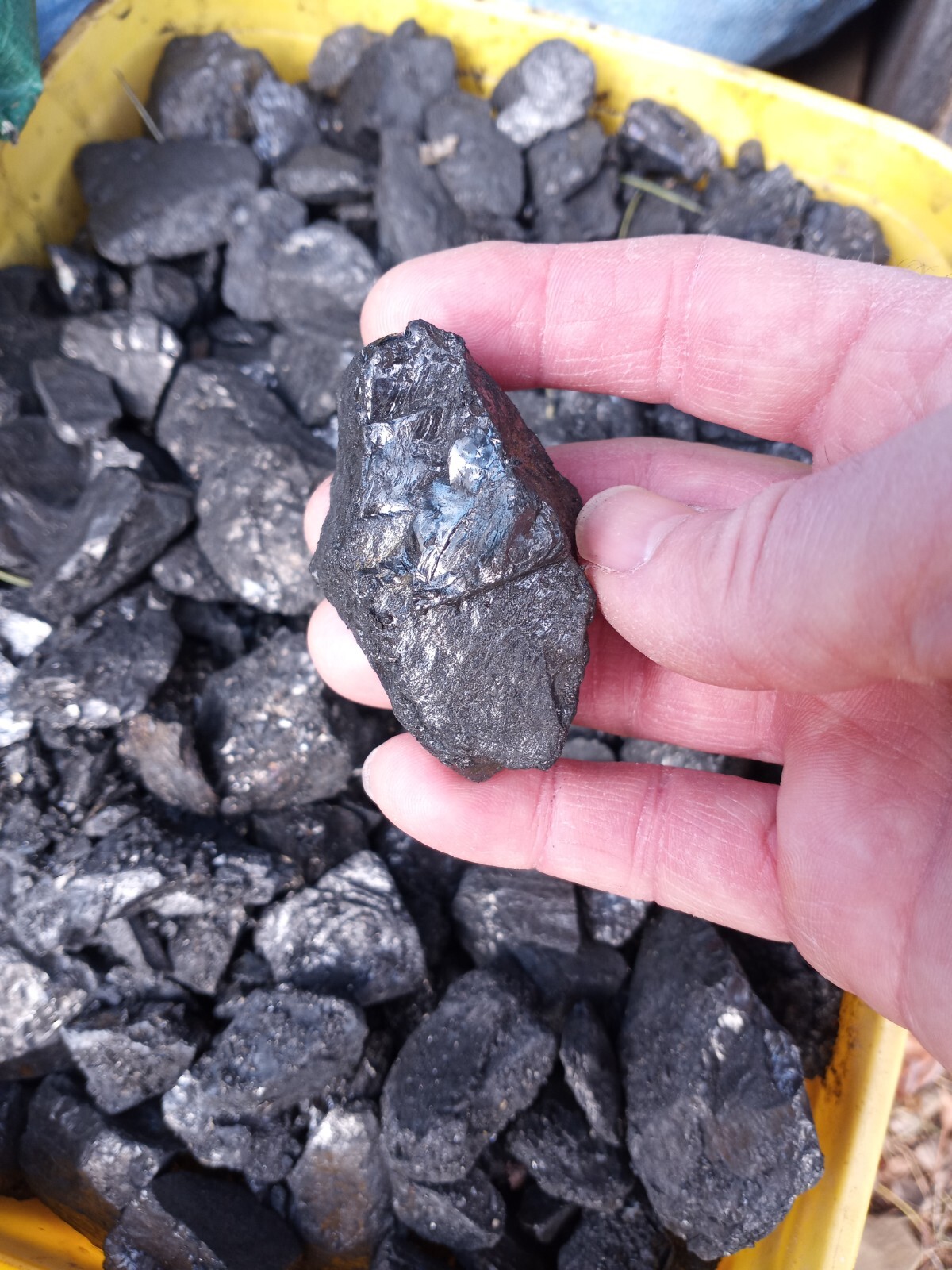 Anthracite blacksmith coal (20 lbs)