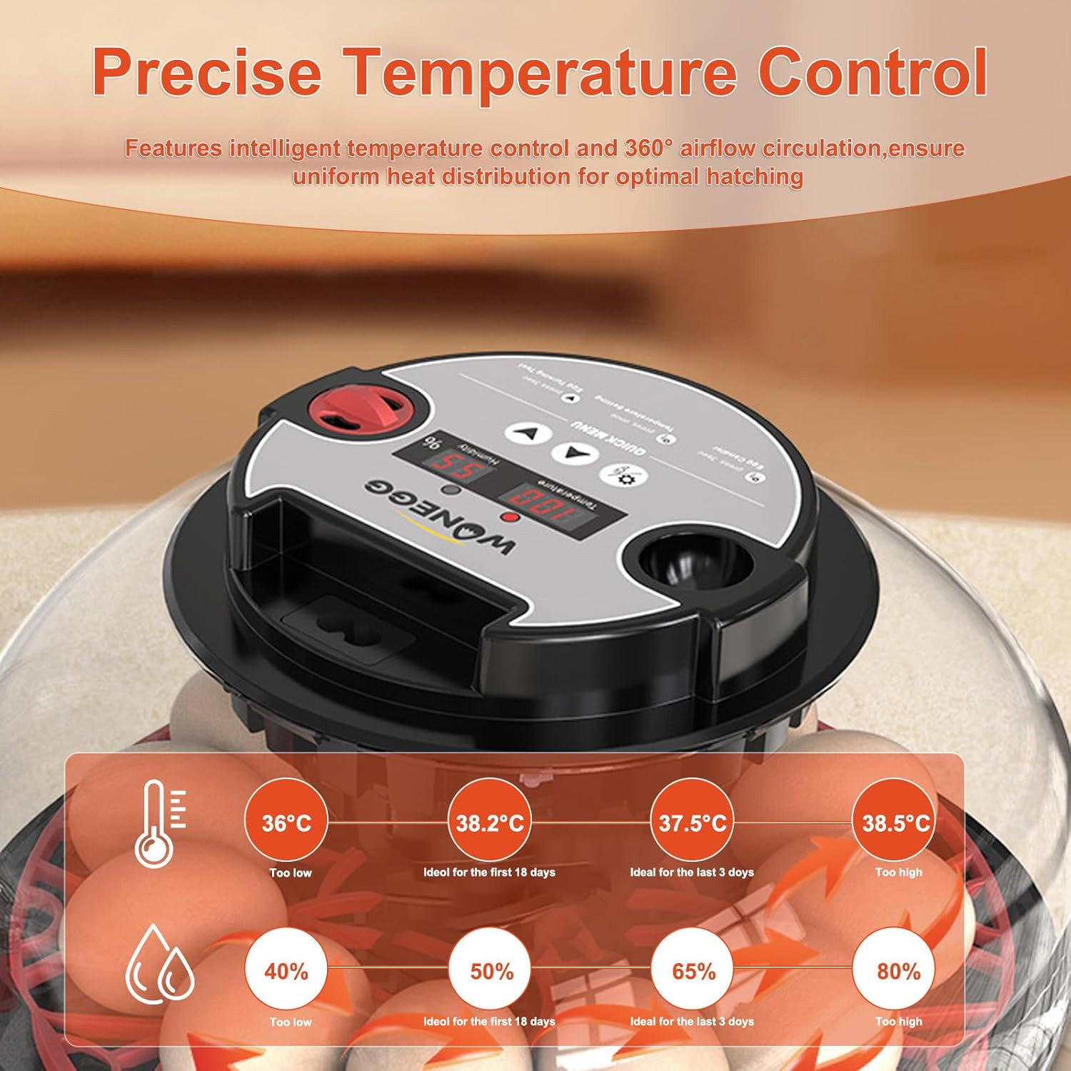 Automatic 12 Egg Incubator with LED Candler & Temp Control for Beginners