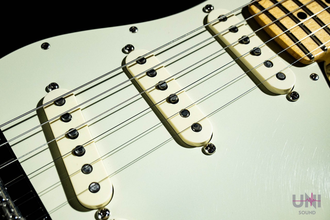 Fender AMERICAN PROFESSIONAL STRATOCASTER / 2016