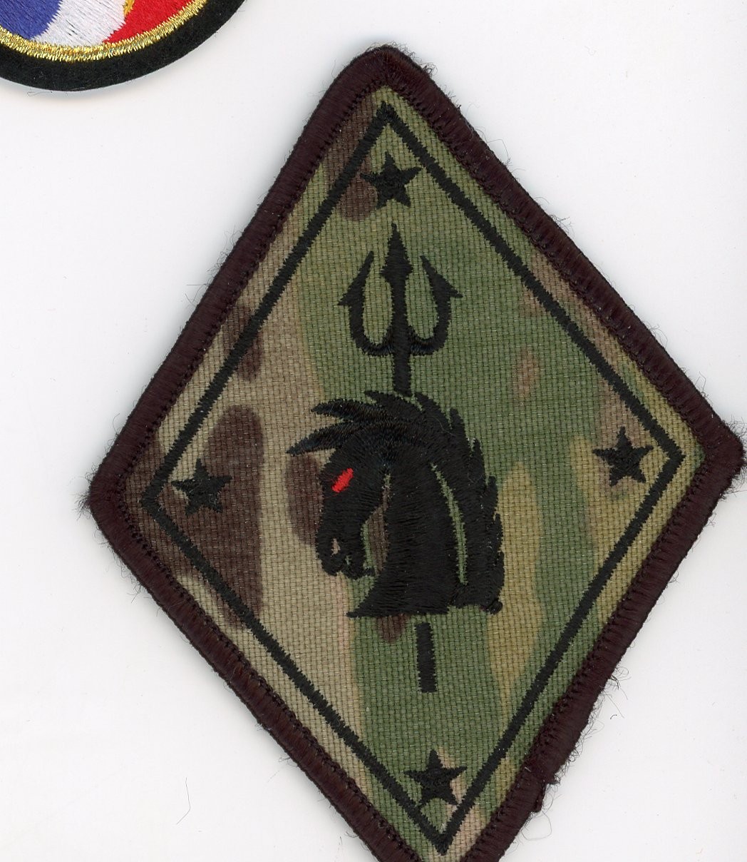 PATCH UNKNOWN I BELEIVE IT IS FRENCH ARMY HORSE + TRIDENT SEW ON PARCHE