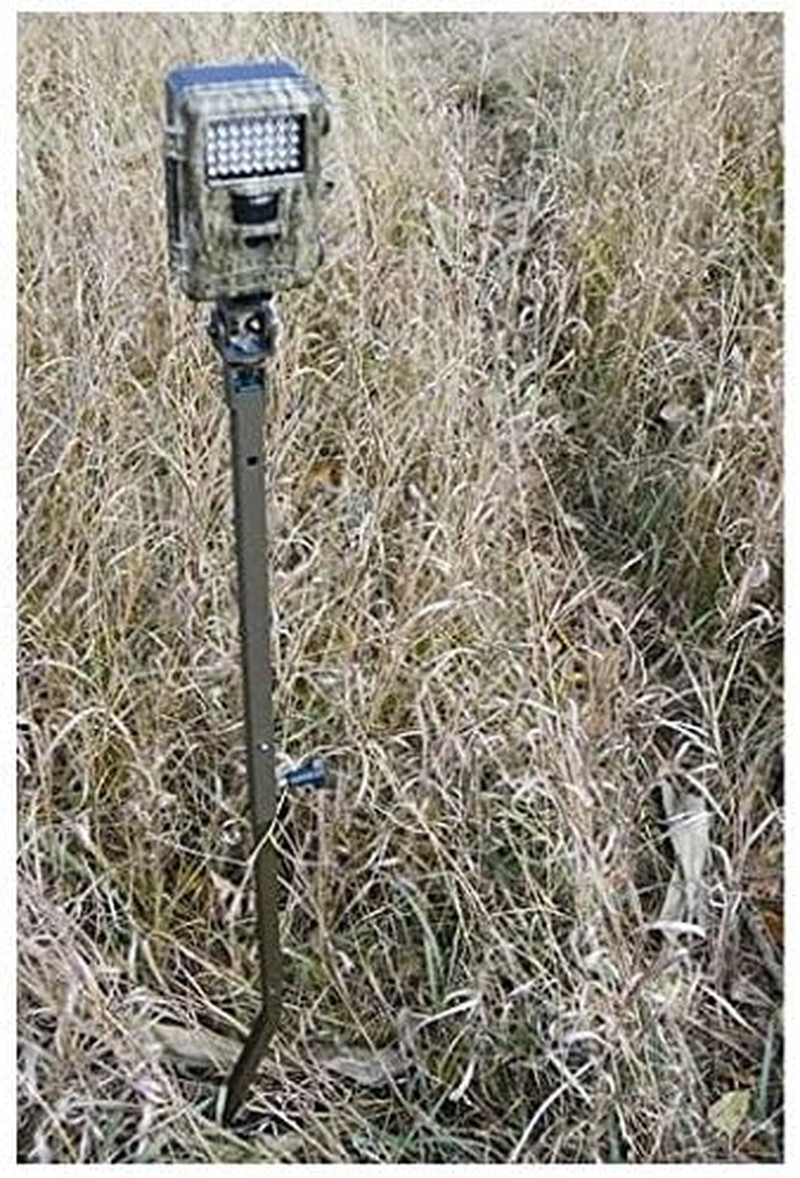 Trail Camera Holder Posts (2 Items) | Dual-Prong Step-In Posts, Universal 1/4X20