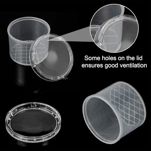 20 Pcs Critter Keeper Bug Magnifier Insect Container with Lid - Bug Catcher