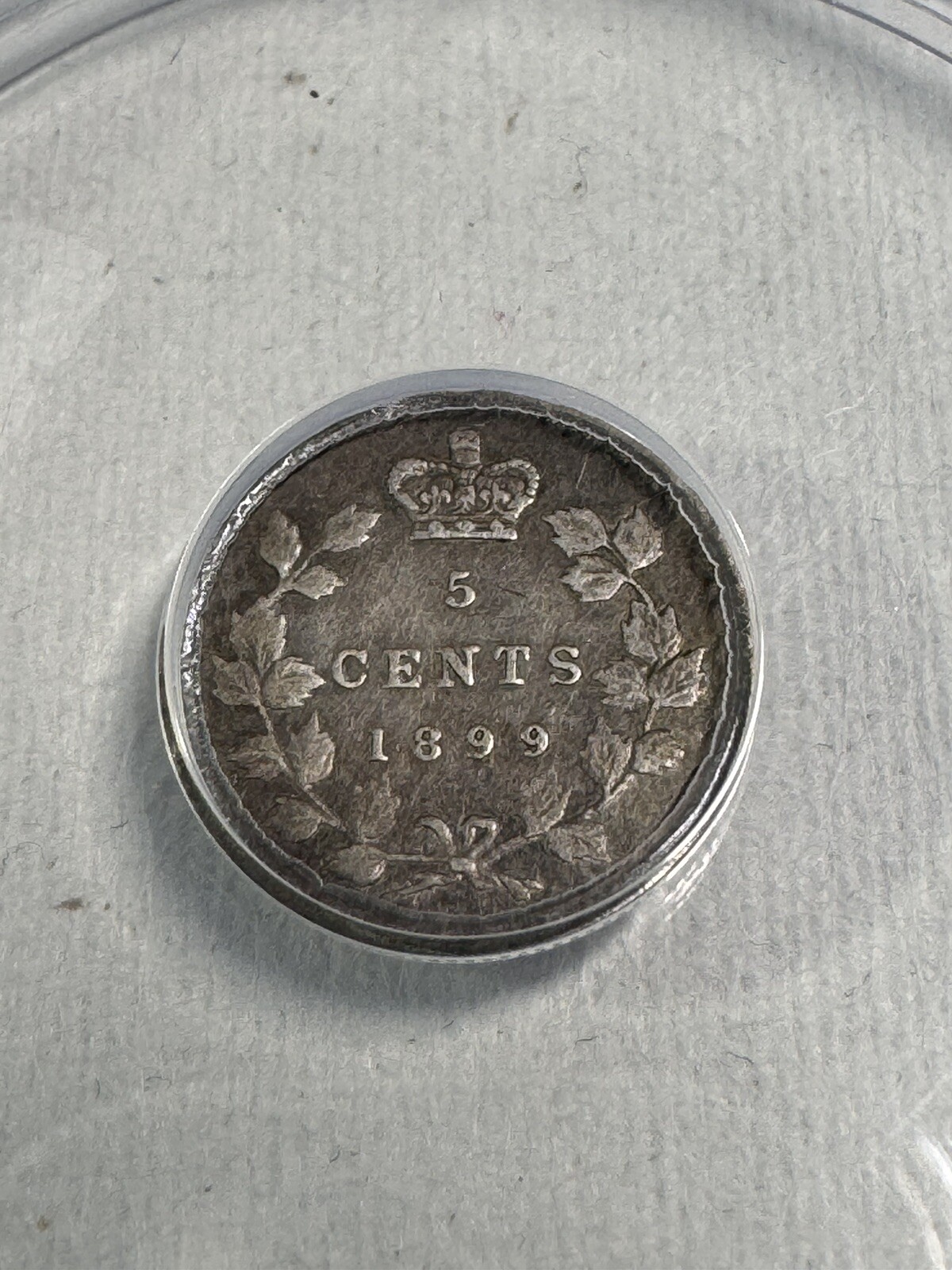 1899 Canada 5 Cents Small Silver Coin Graded VF 20 Details Cleaned by ANACS
