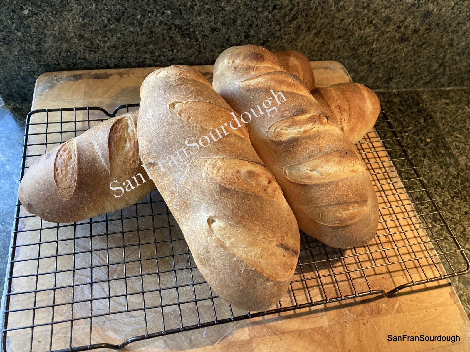 Authentic California starter for Homemade Artisan sourdough starter yeast