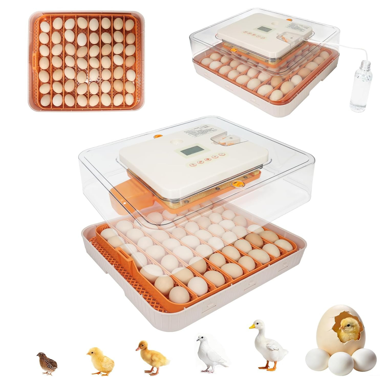 Gen IV 56 Egg Fully Automatic Incubator with Smart Temp & Humidity Control