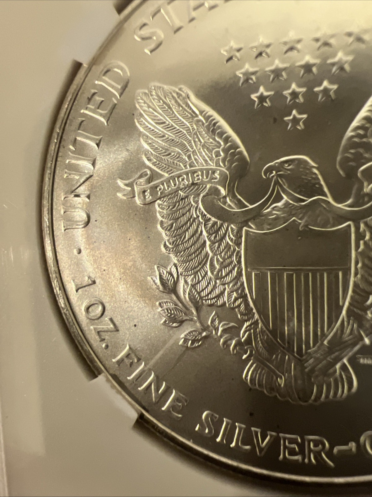 1996 SILVER EAGLE Coin Highest Grade