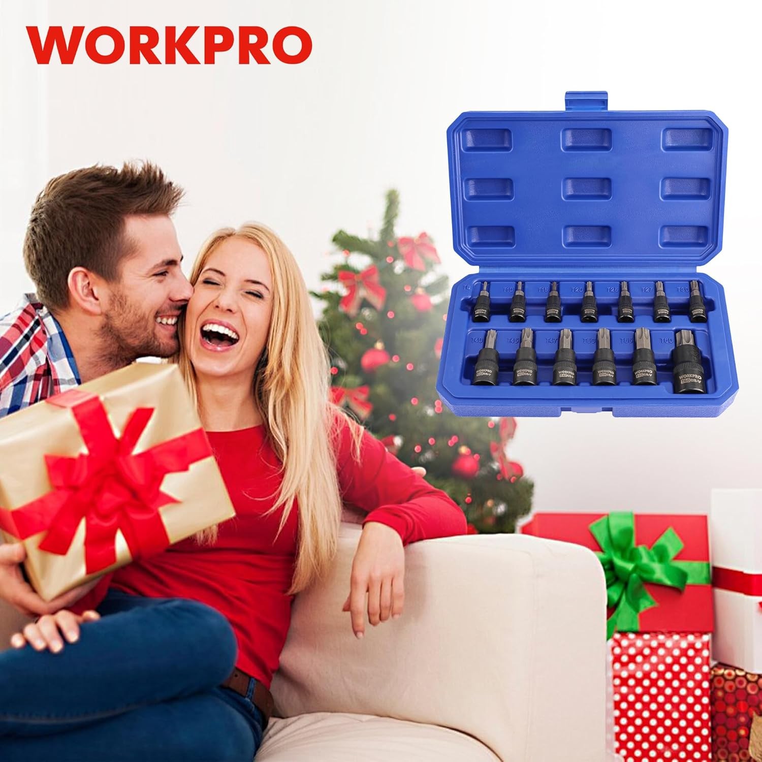 Torx Bit Socket Set, 1/4", 3/8" and 1/2" Drive Torx Bits 13-Piece Socket