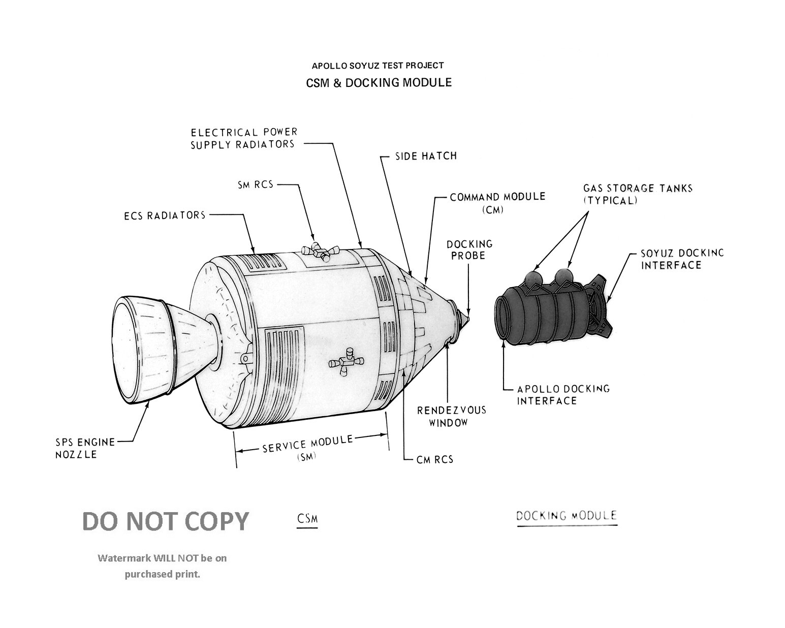 REPRINT ILLUSTRATION APOLLO SOYUZ CSM & DOCKING MODULE  8X10 NASA PHOTO (BT-755)