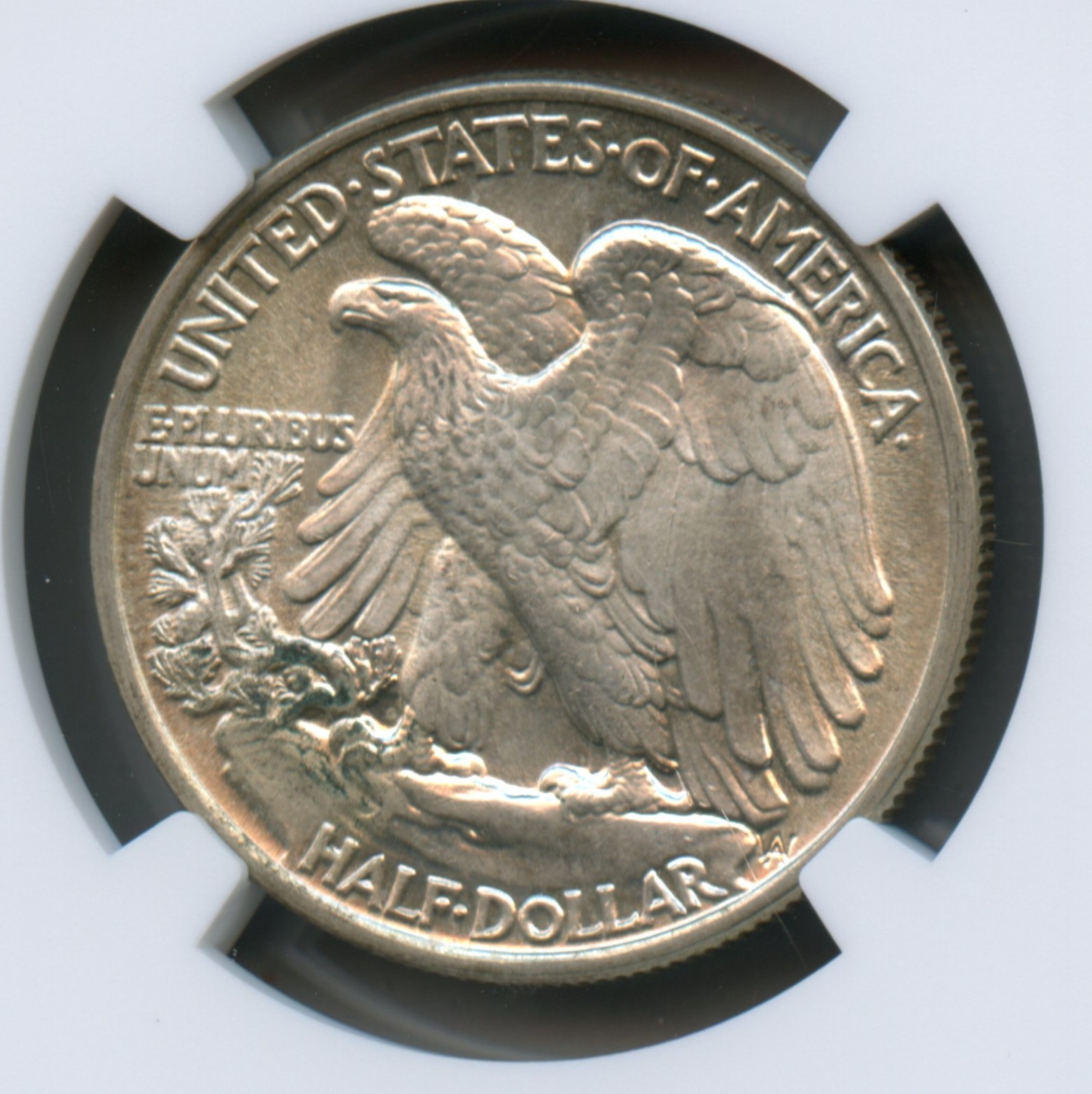 1943 Walking Liberty Silver Half Dollar NGC MS 65