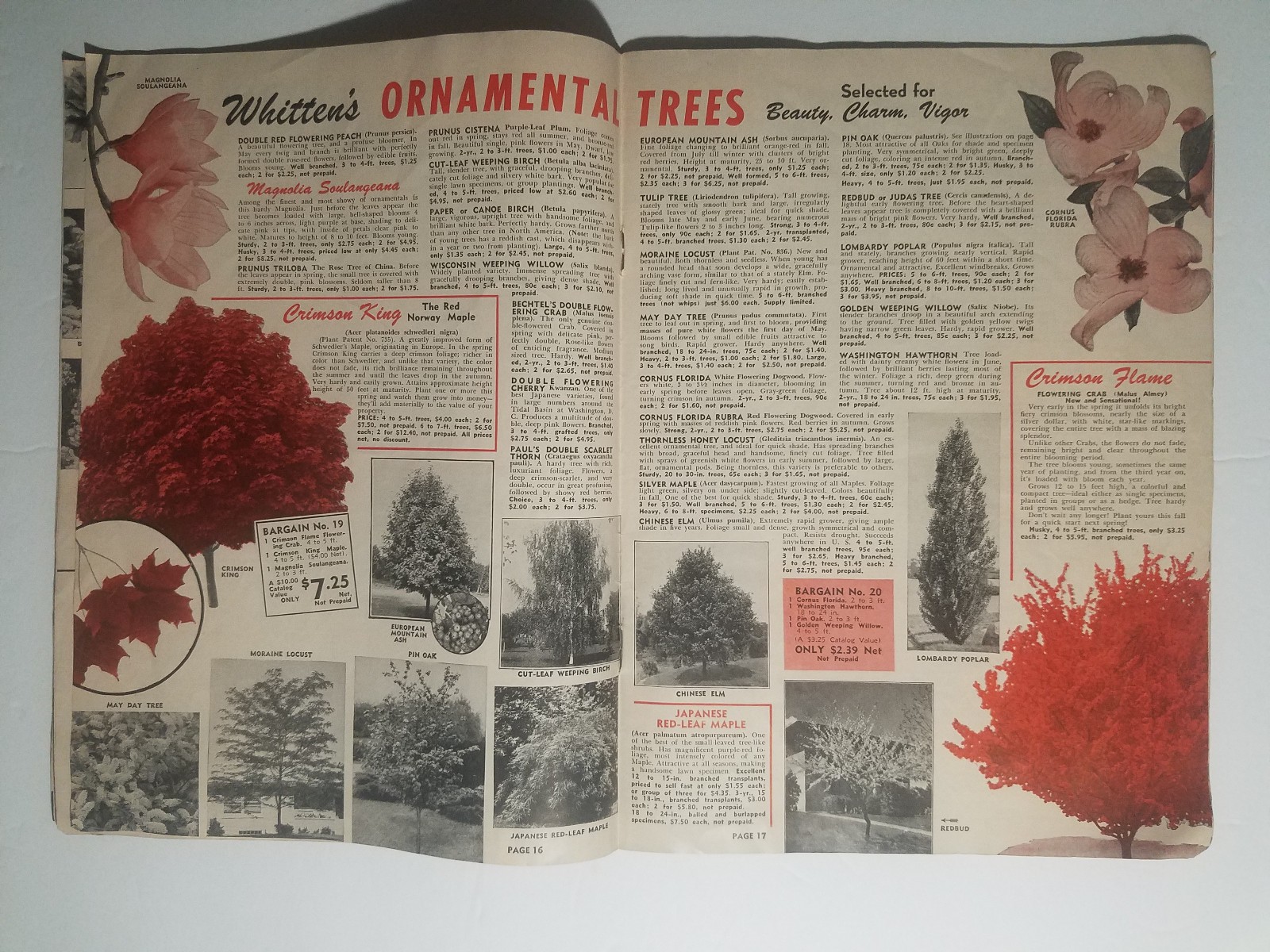 1955 Whitten Nurseries Catalog