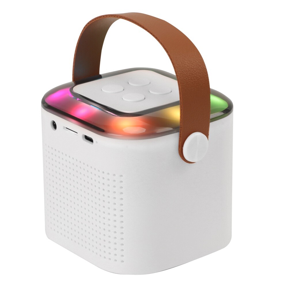 Portable White Bluetooth Karaoke Speaker Machine Kids Mics
