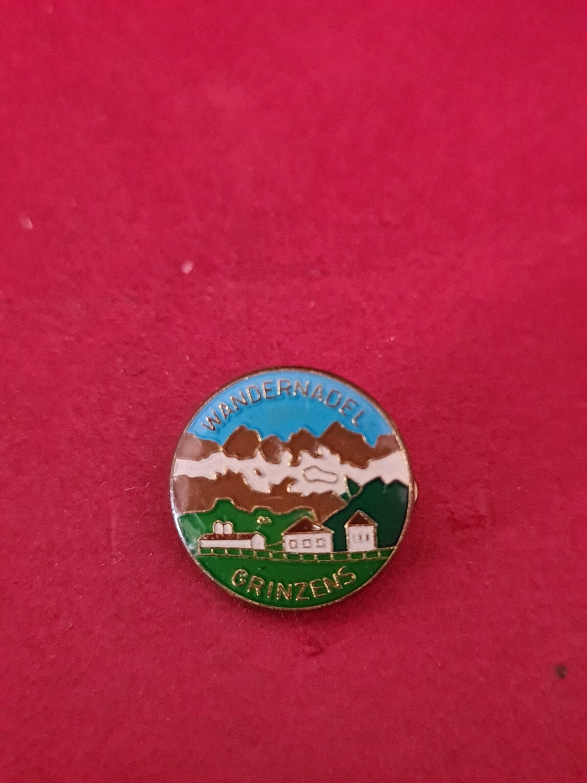 Vintage Pin Hatpin Walking Pin Grinzens