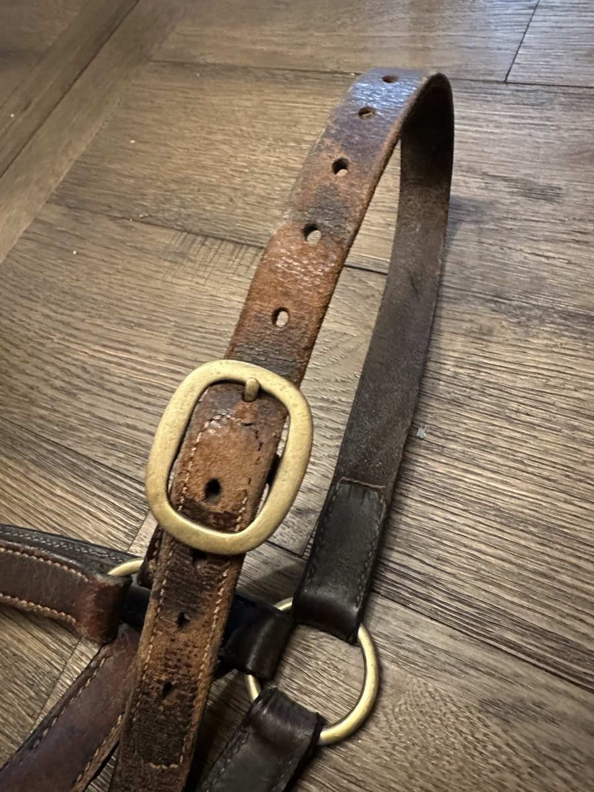 Horse Tack - Leather Track Halter
