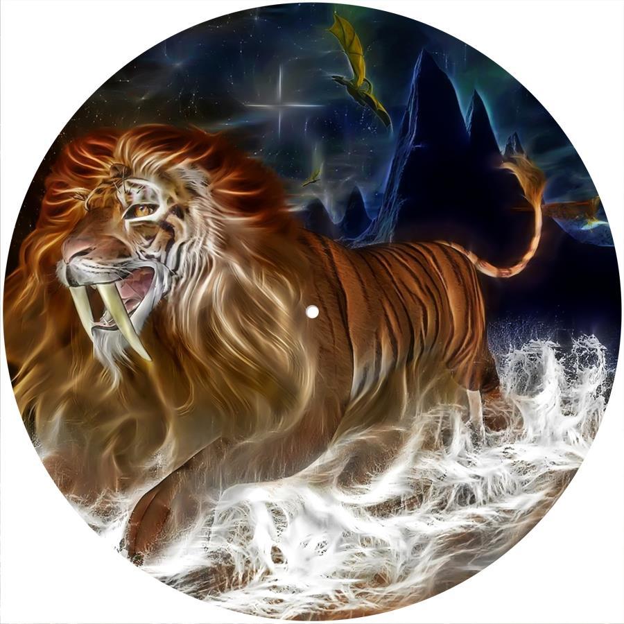 Slipmat Slip Mat Felt for any 12" Turntable LP DJ Record Player CAT NEON LION