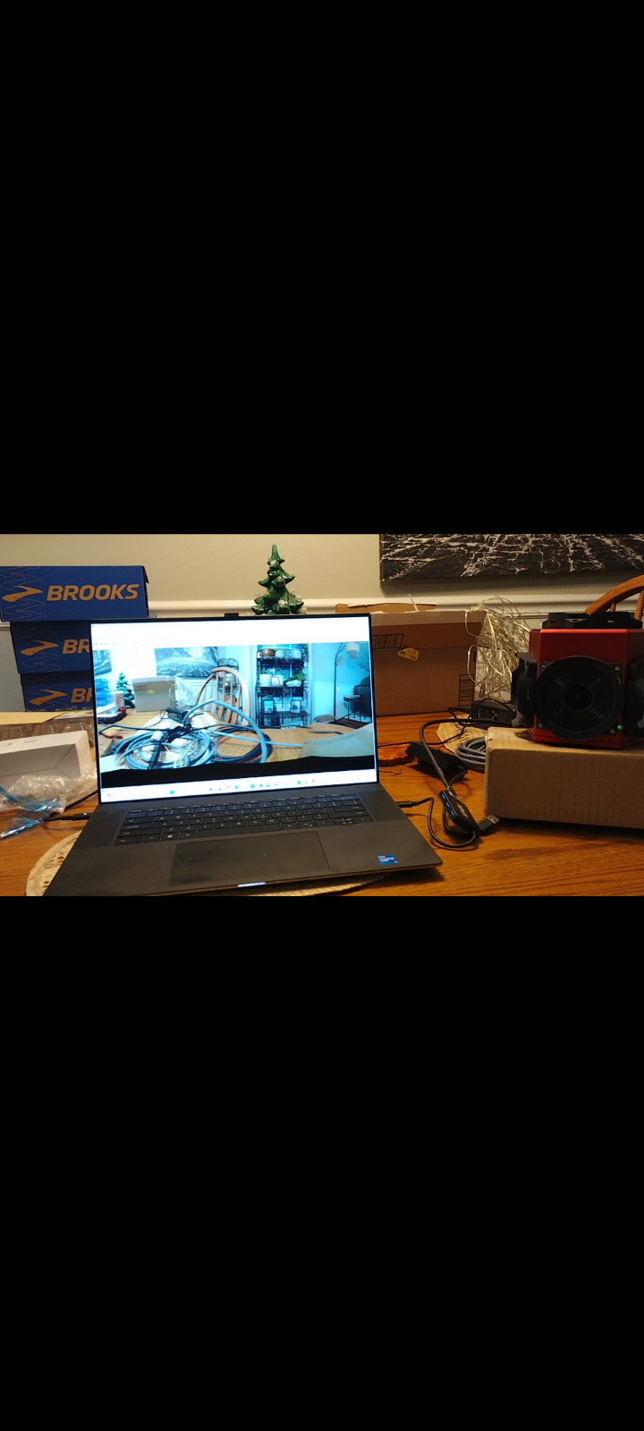 Flir ladybug 5+