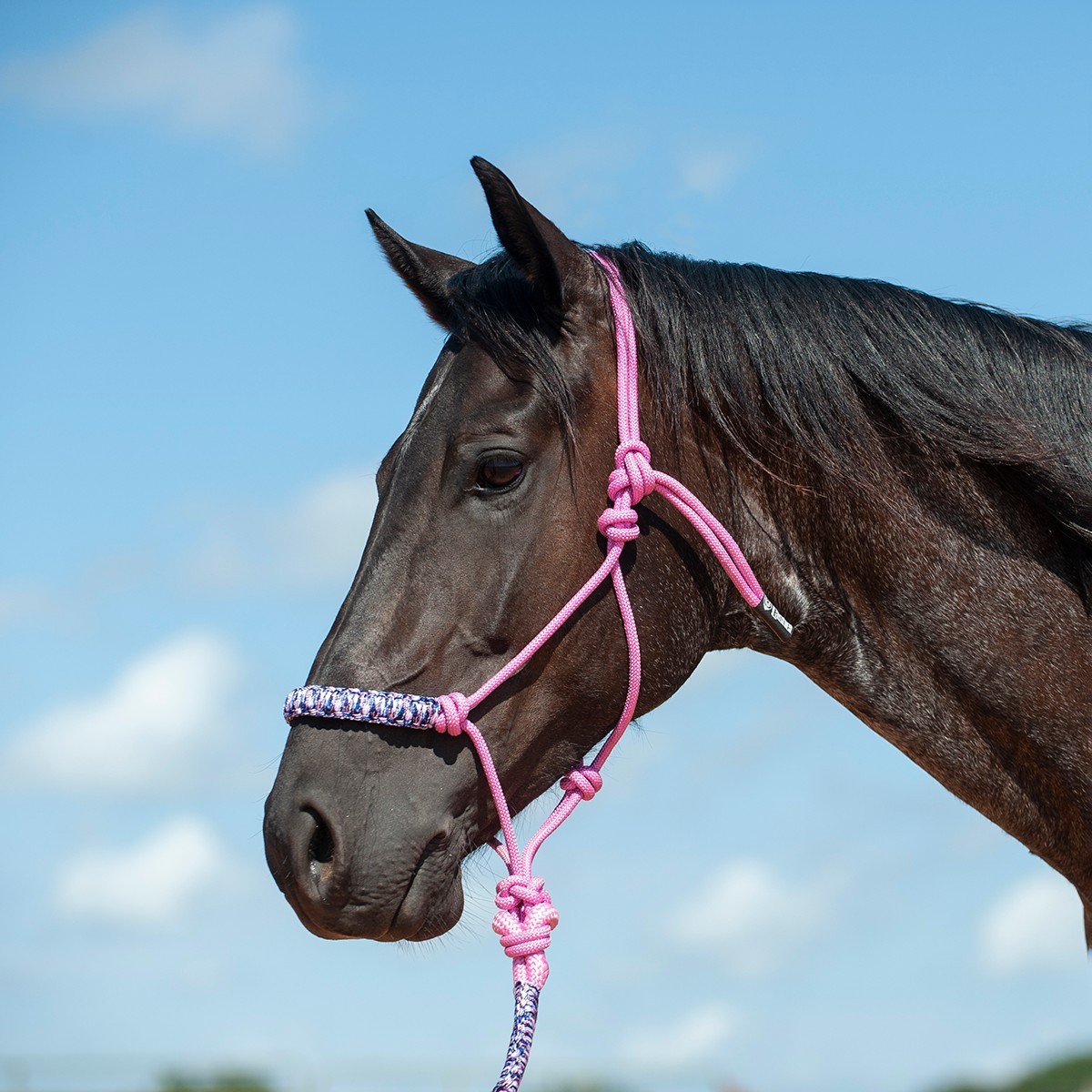 Braided Nylon Rope Halter with 8' Lead Rope