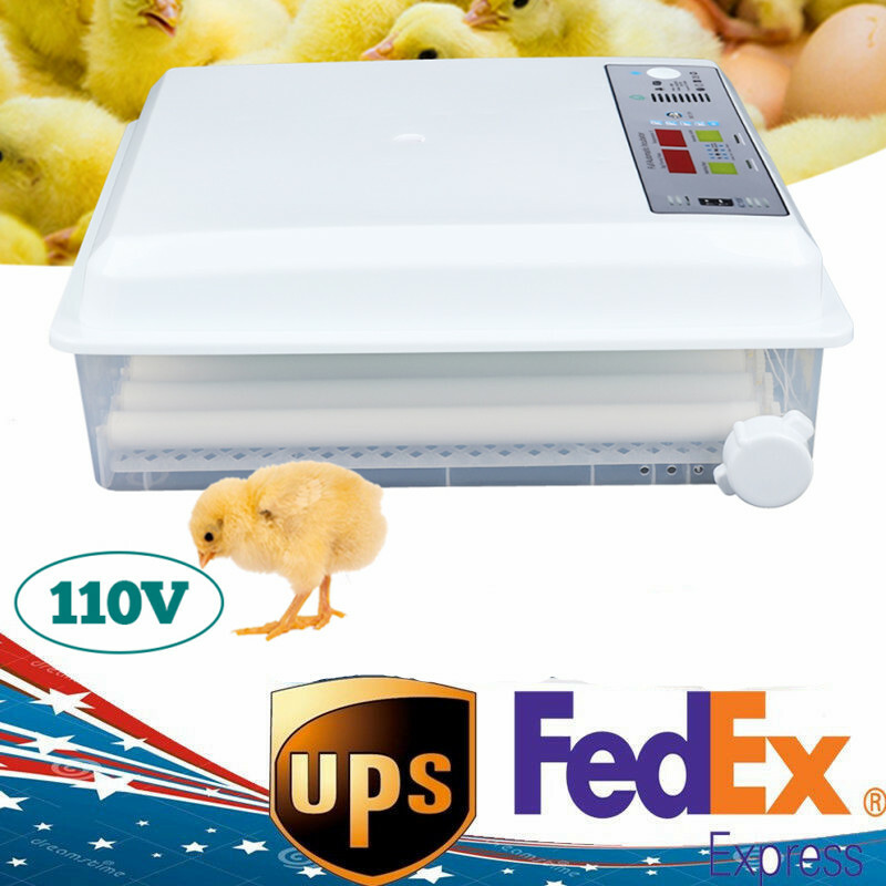 64-Egg Automatic Incubator Dual Power 110V/12V Digital Temp Control Auto Turner