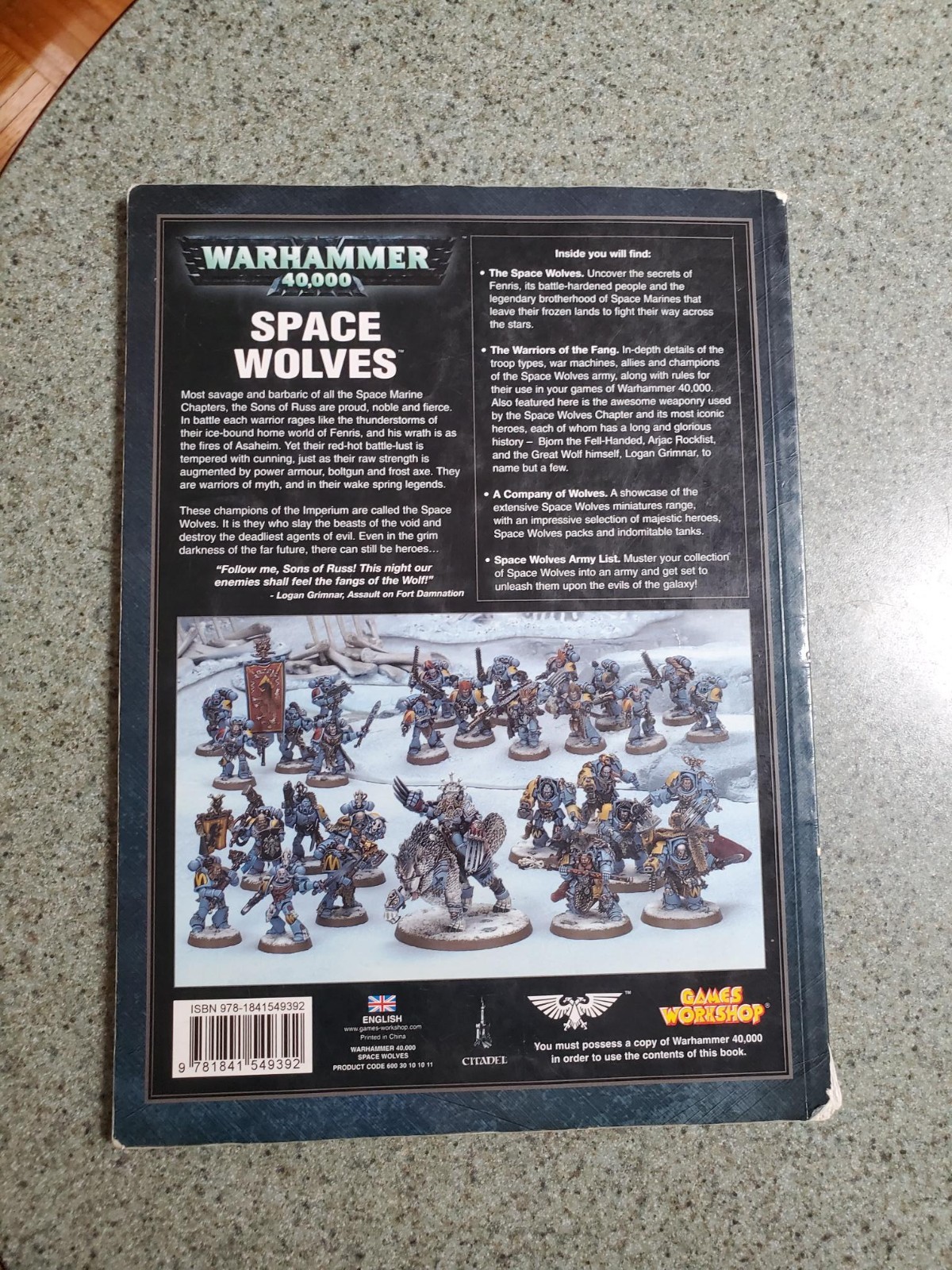 Warhammer 40,000 40k Space Wolves Codex 2009 Games Workshop Paperback Edition