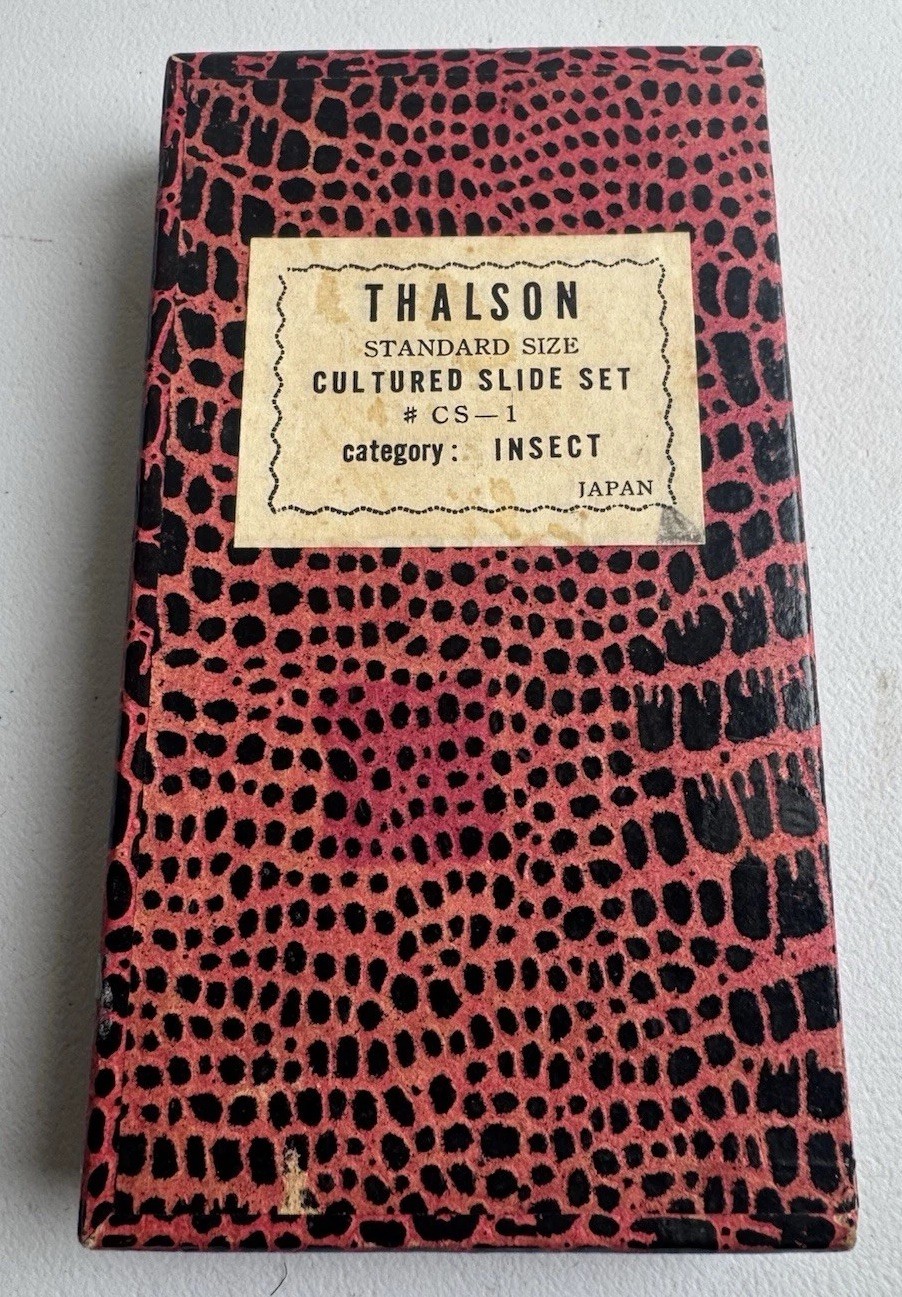 Vintage 1960’s THALSON CULTURED SLIDE SET: INSECTS, 12 SLIDES, JAPAN CS-1