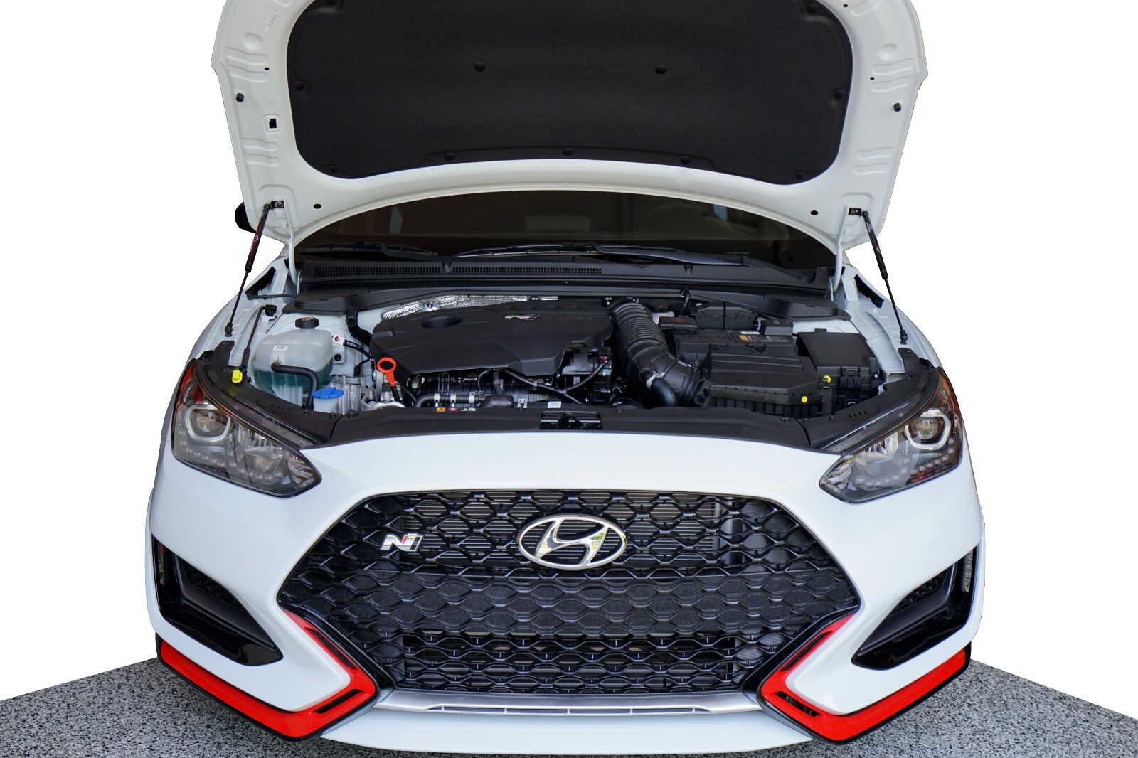 2019-22 Hyundai Veloster N Bolt-In Hood Quick LIFT PLUS Gas Struts Shocks Lifter