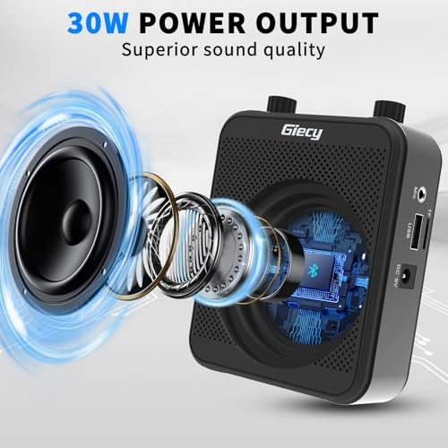 30W Portable Voice Amplifier with Wireless Microphone Headset, Standard Black