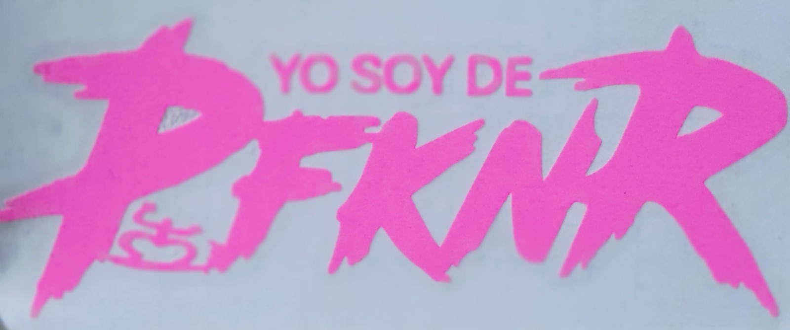 Yo soy de P fkn R with Boricua Coqui Vinyl Decal Puerto Rico Auto Sticker