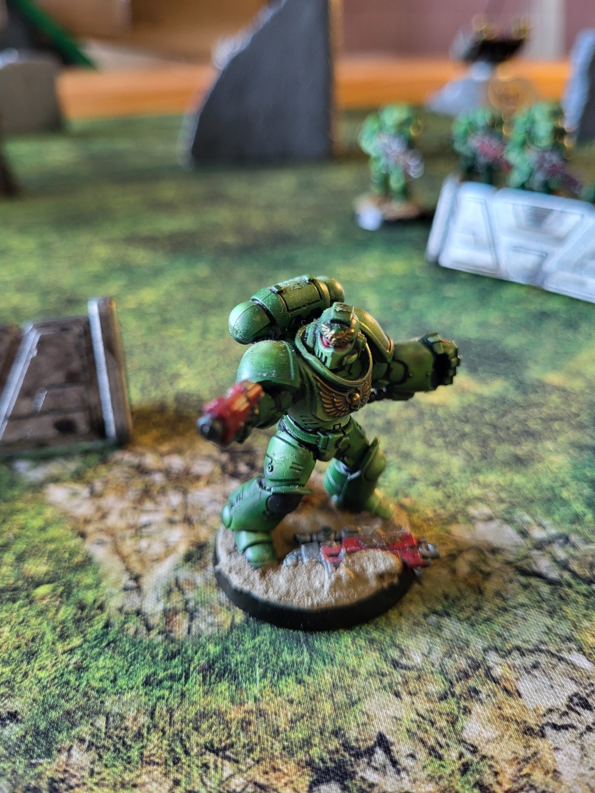 Custom Painted Space Marine Intercessor Squad ×10