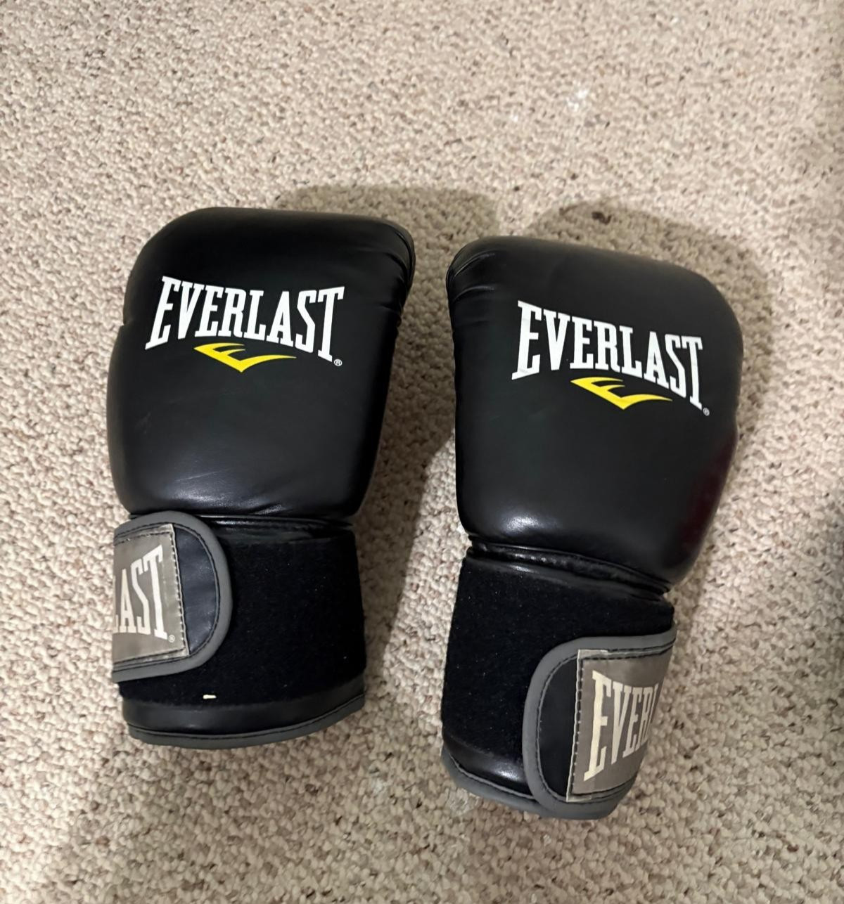 Everlast MMA Pro Style Gloves