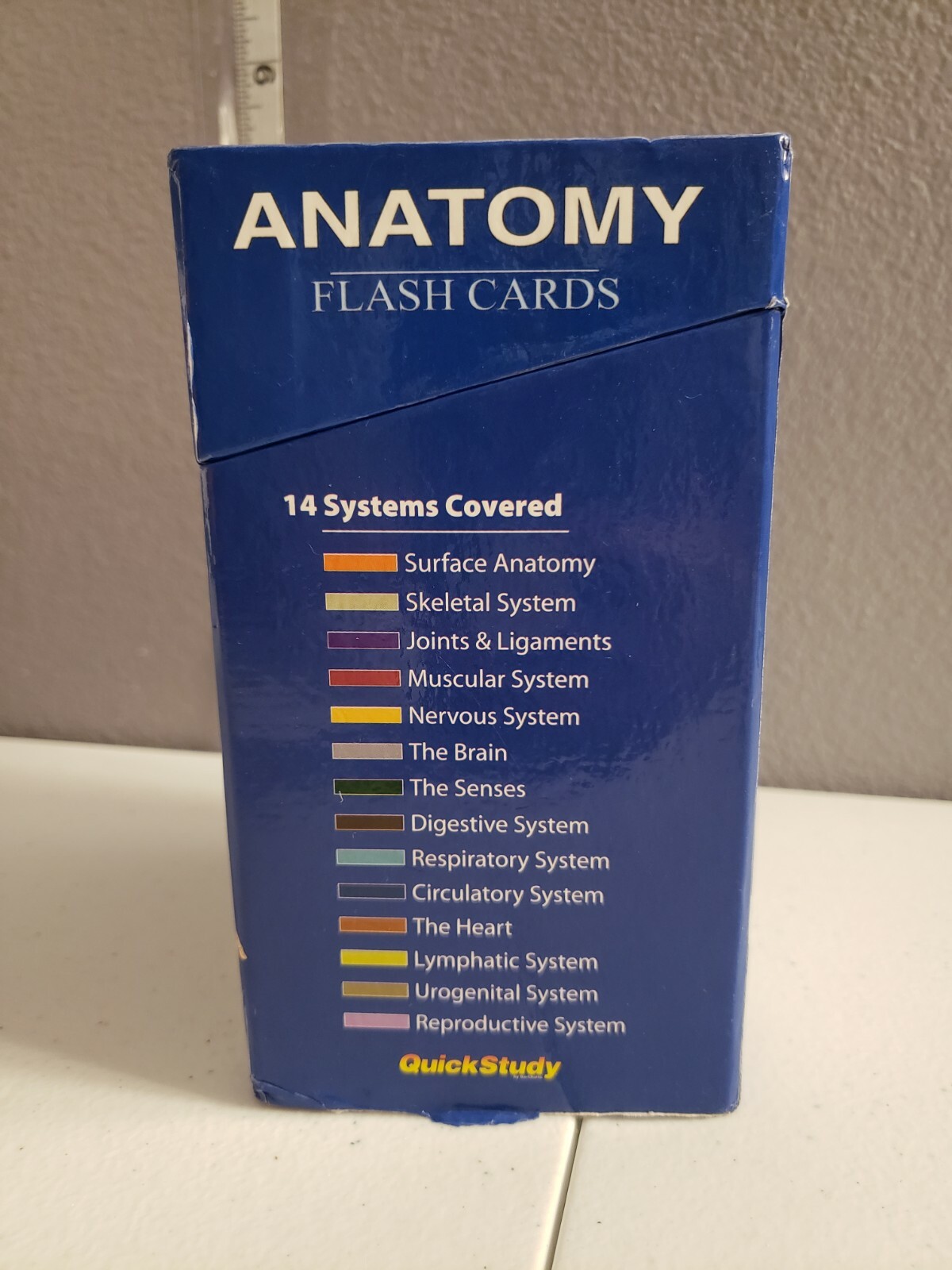 Medical Human Anatomy Educational Flash Cards