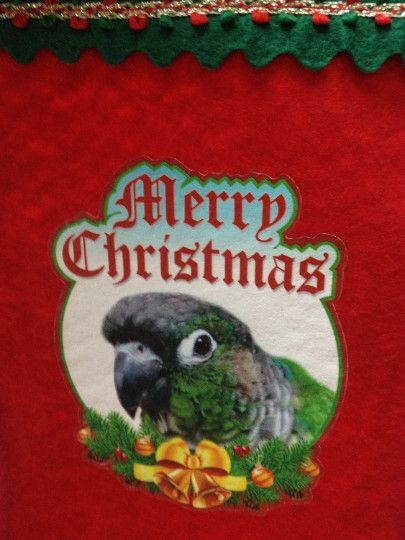 SALE!  Green Cheek Conure Parrot Exotic Bird Holiday Christmas Stockings