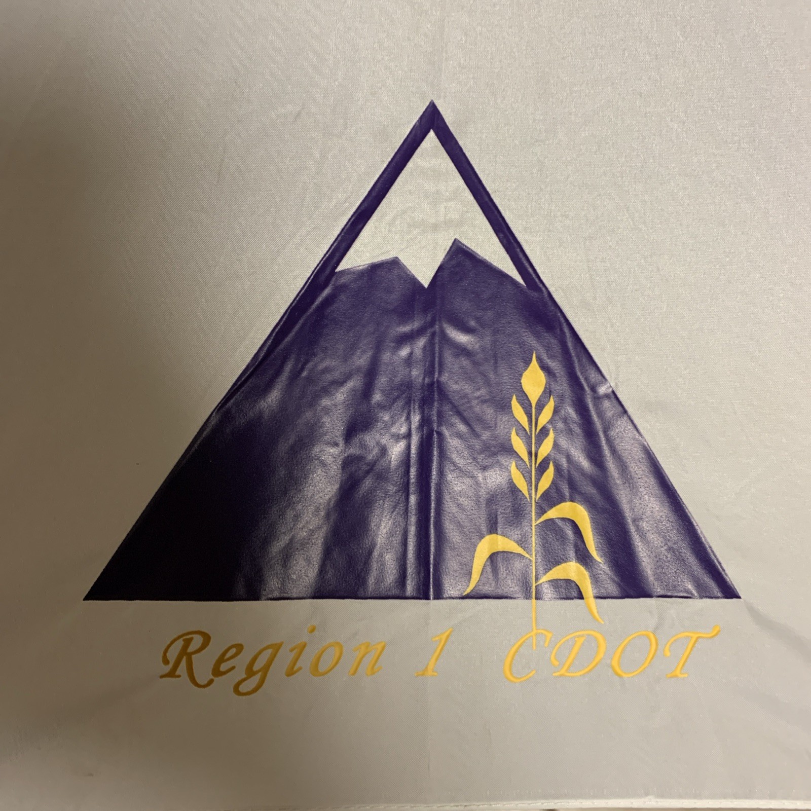 Rare Umbrella CDOT Promo (Colorado Department Of Transportation) C DOT