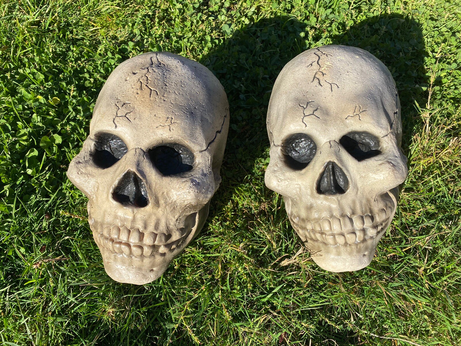 Take one Halloween Skeleton Skull Latex Halloween Haunted House Prop Decor 2003