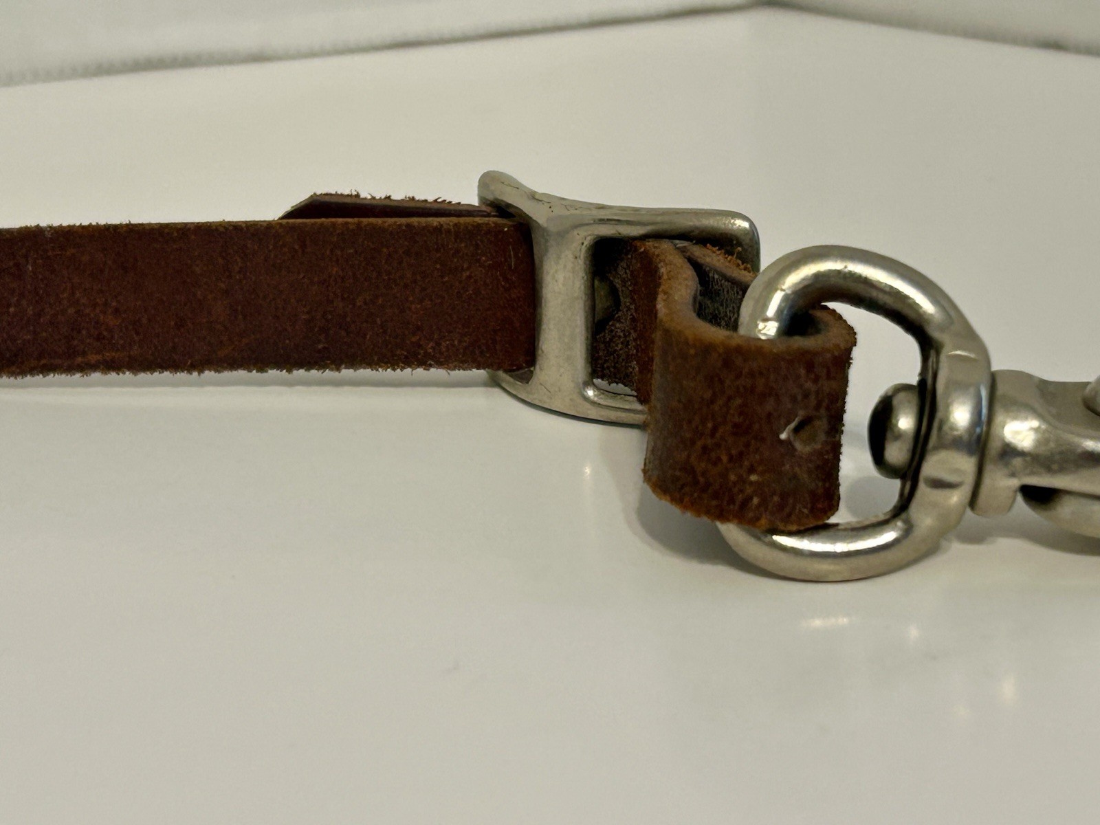 champion turf leather collar horse equestrian