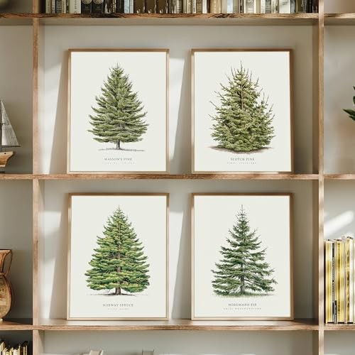 4Pcs Vintage Christmas Tree Wall Art, Artful 4 Pine Tree Botanical Prints,