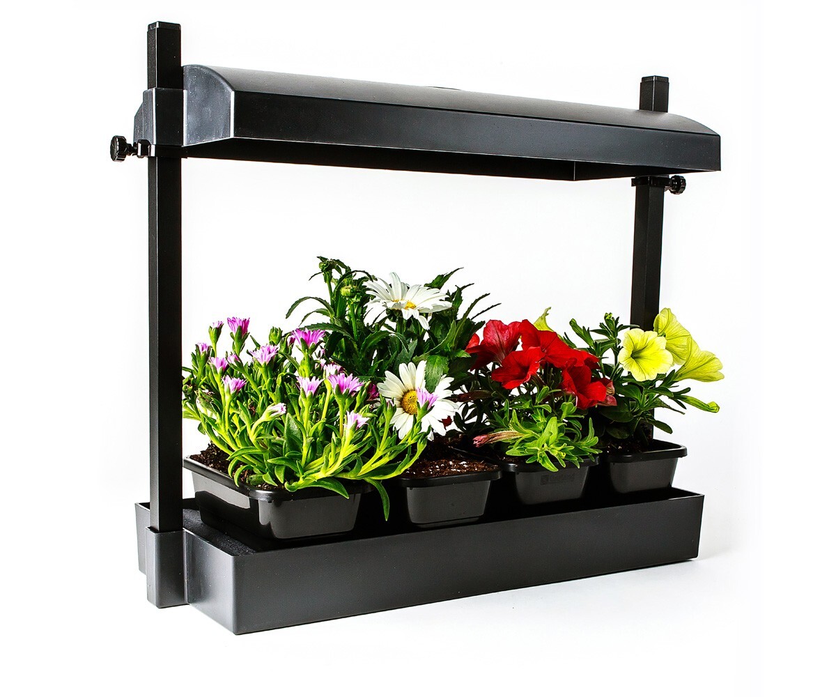 Sunblaster T5 Grow Light Garden, Black