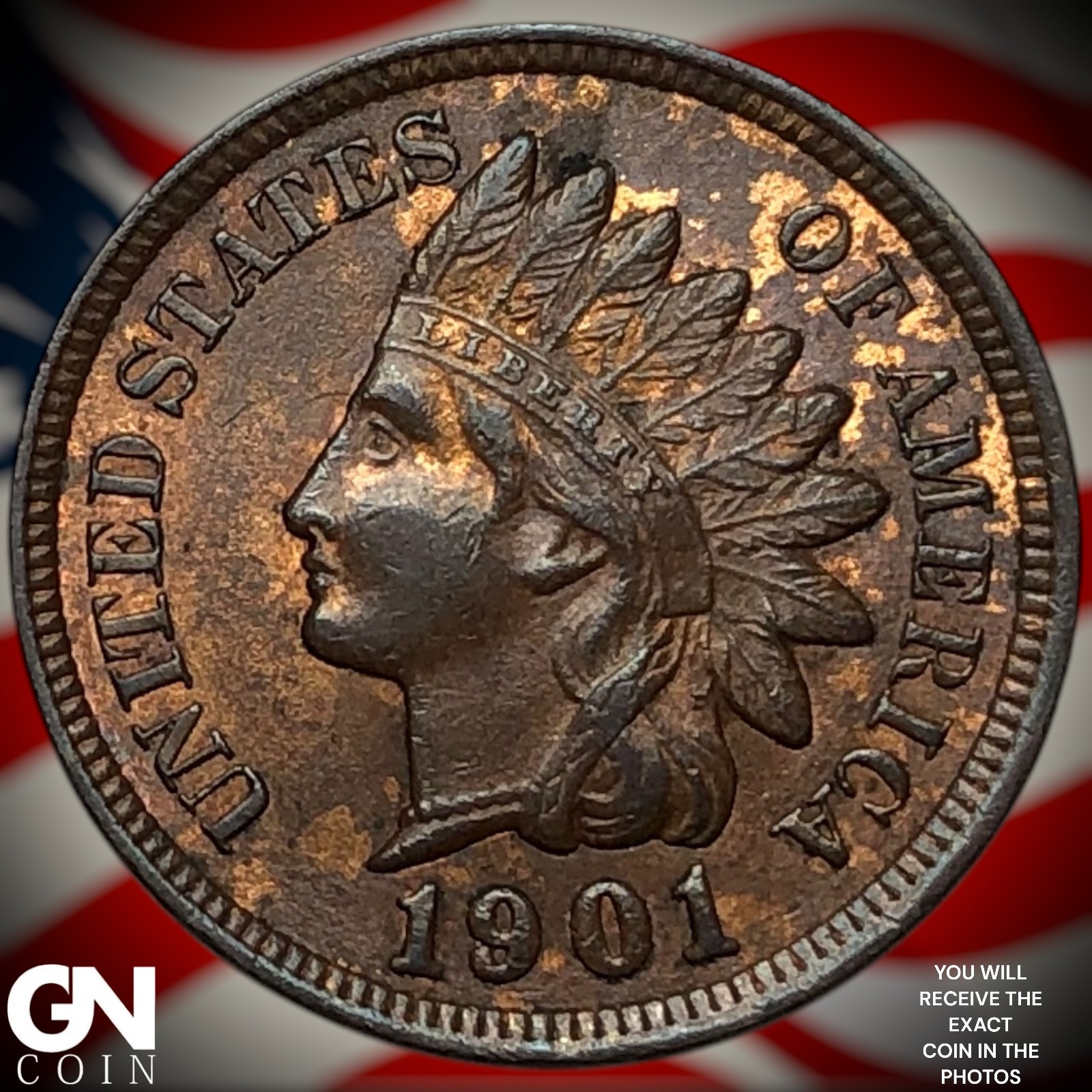 1901 Indian Head Cent Penny Z6038