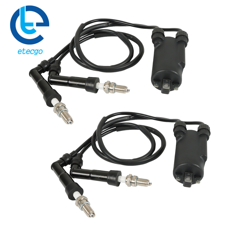 Ignition Coil & Spark Plug W/ Cap For HONDA Goldwing GL1100 80-81 GL1200 84-87