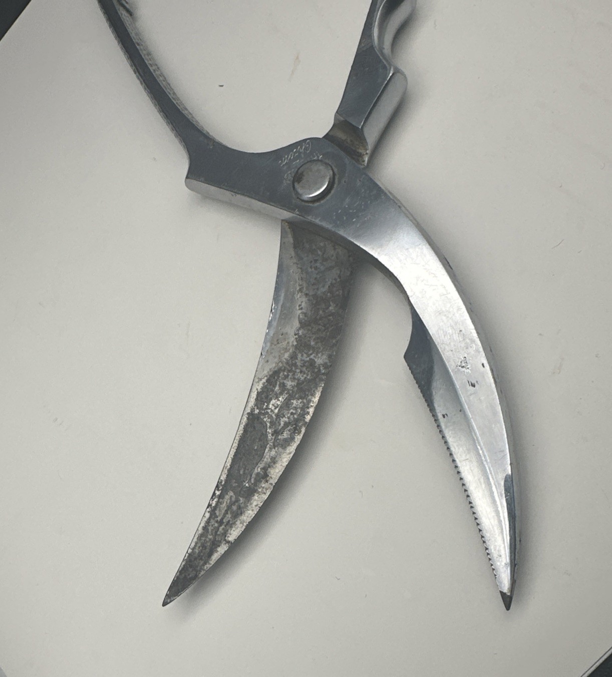 Thurnauer Poultry/Meat Shears Chrome Italy-Read