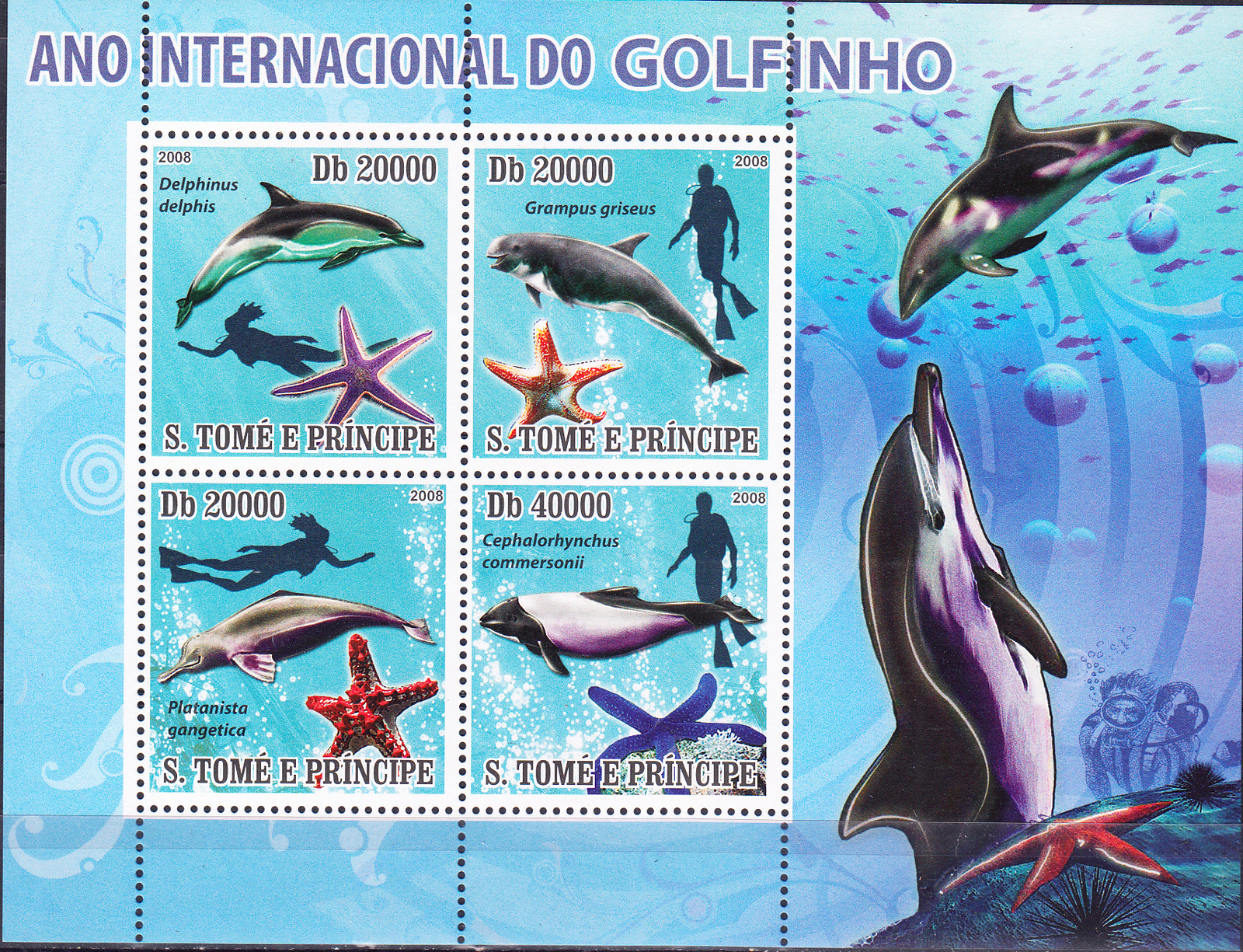 W SAINT-THOMAS 1891 DOLPHINS