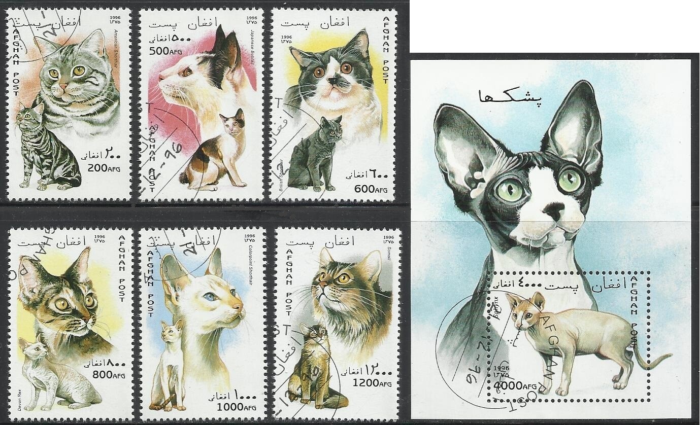 Afghanistan - 1996 6v.+S/S CTO NH Cats Pets Animals Fauna