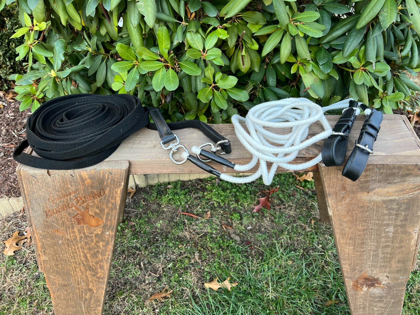 Leaders Training Reins
