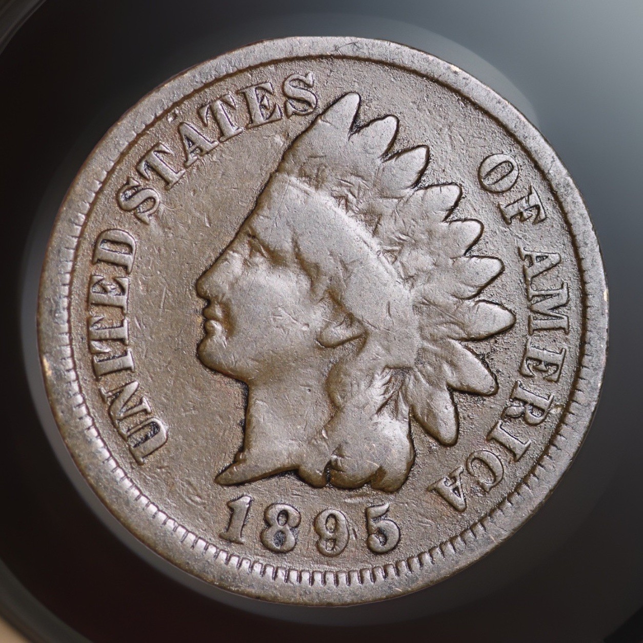 1895 INDIAN HEAD CENT Problem Free Nicely, Circulated Best Value On Ebay