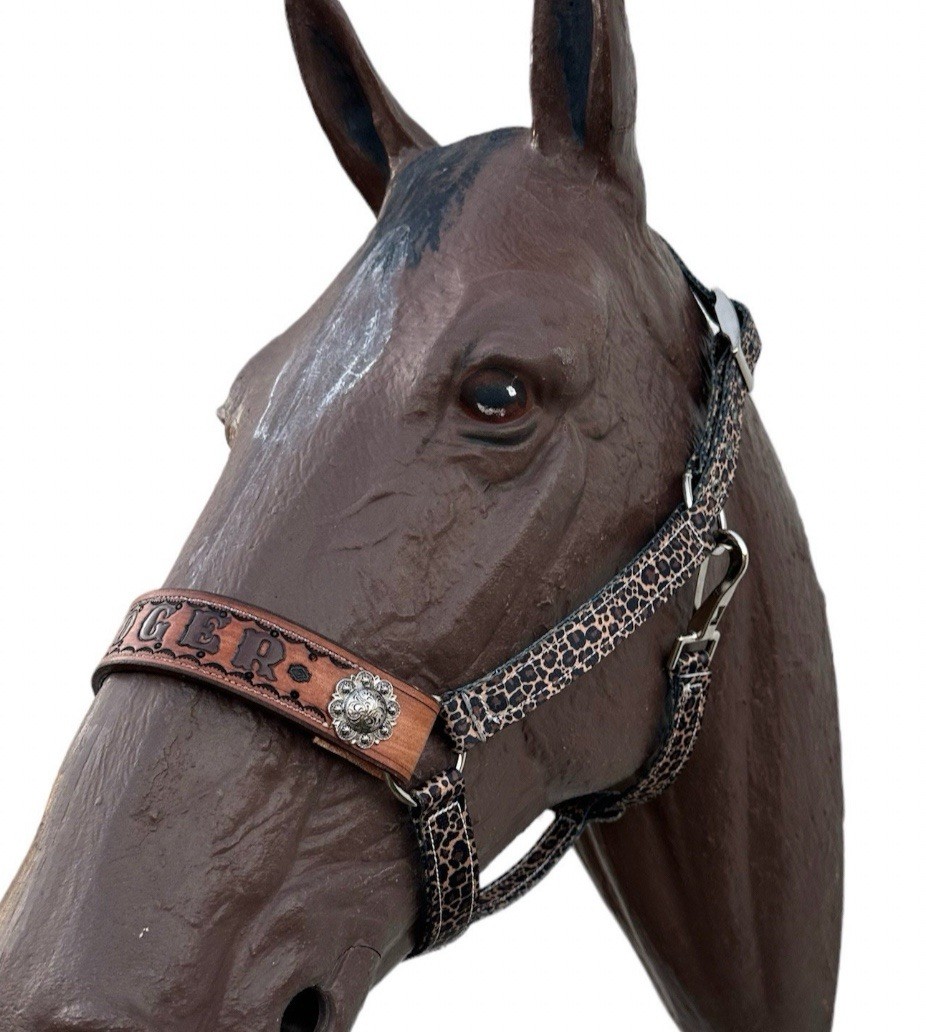 custom personalized nylon horse halter in all sizes in the cheetah   pattern