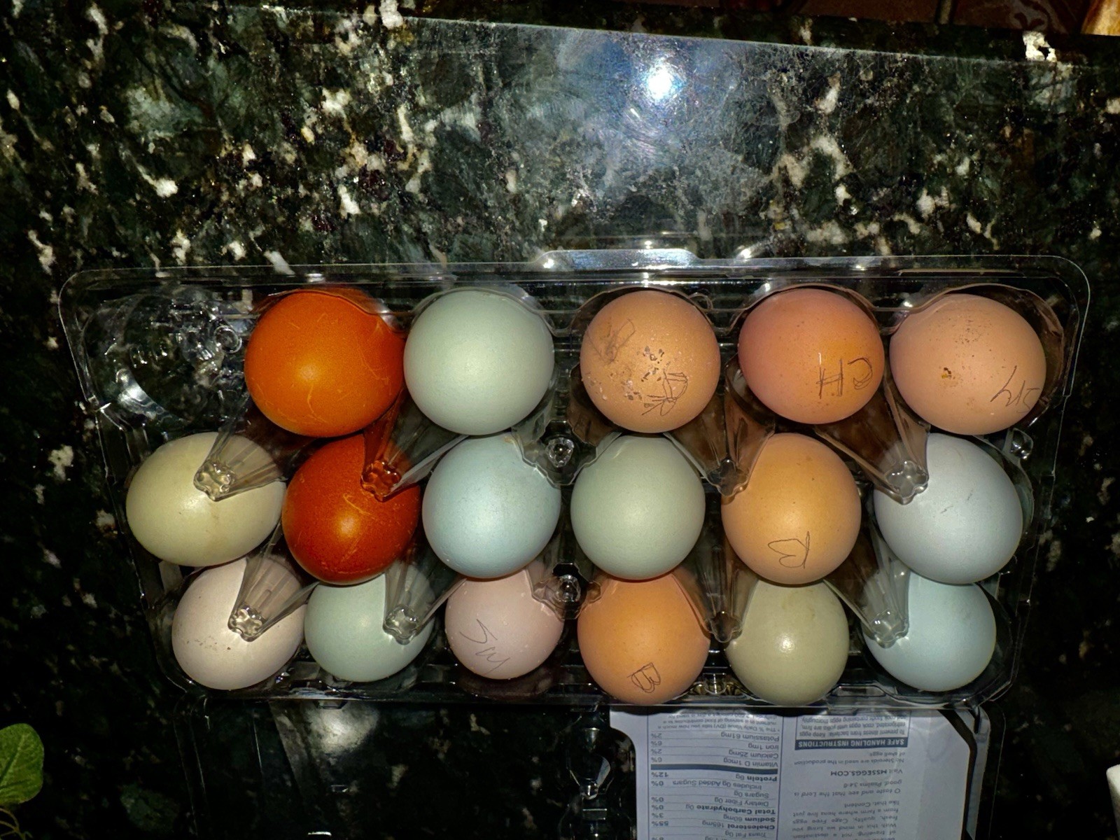 10+ barnyard mix Rainbow hatching eggs, Read Descripción