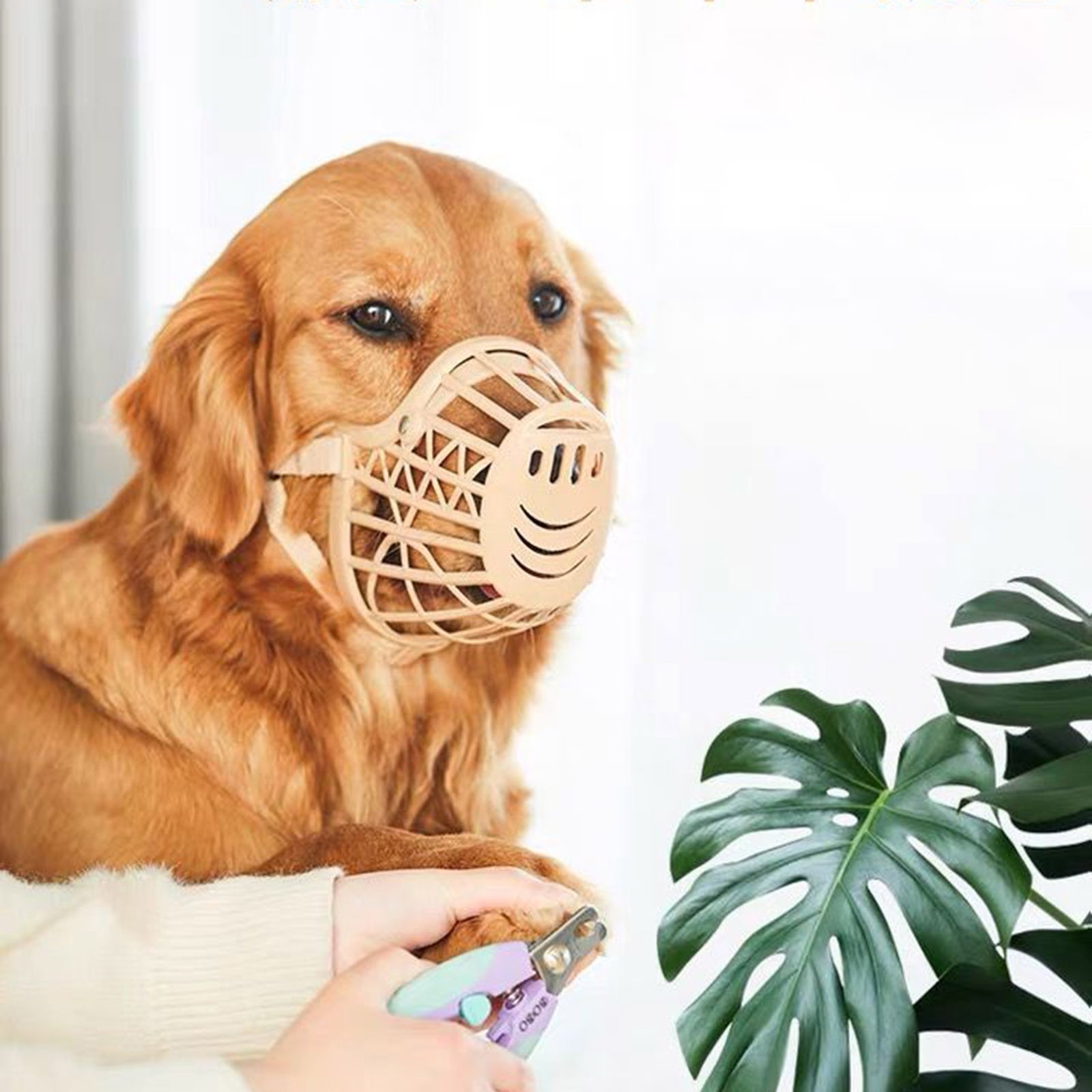 Dog Mouth Cover Box Muzzle Anti Biting Barking Pet Cage V1