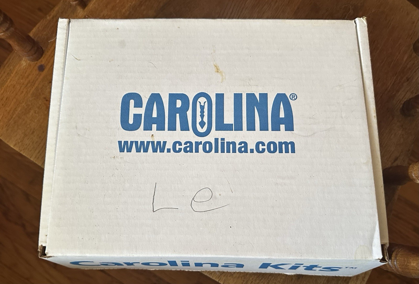 Carolina Crayfish Dissection Kit X 2