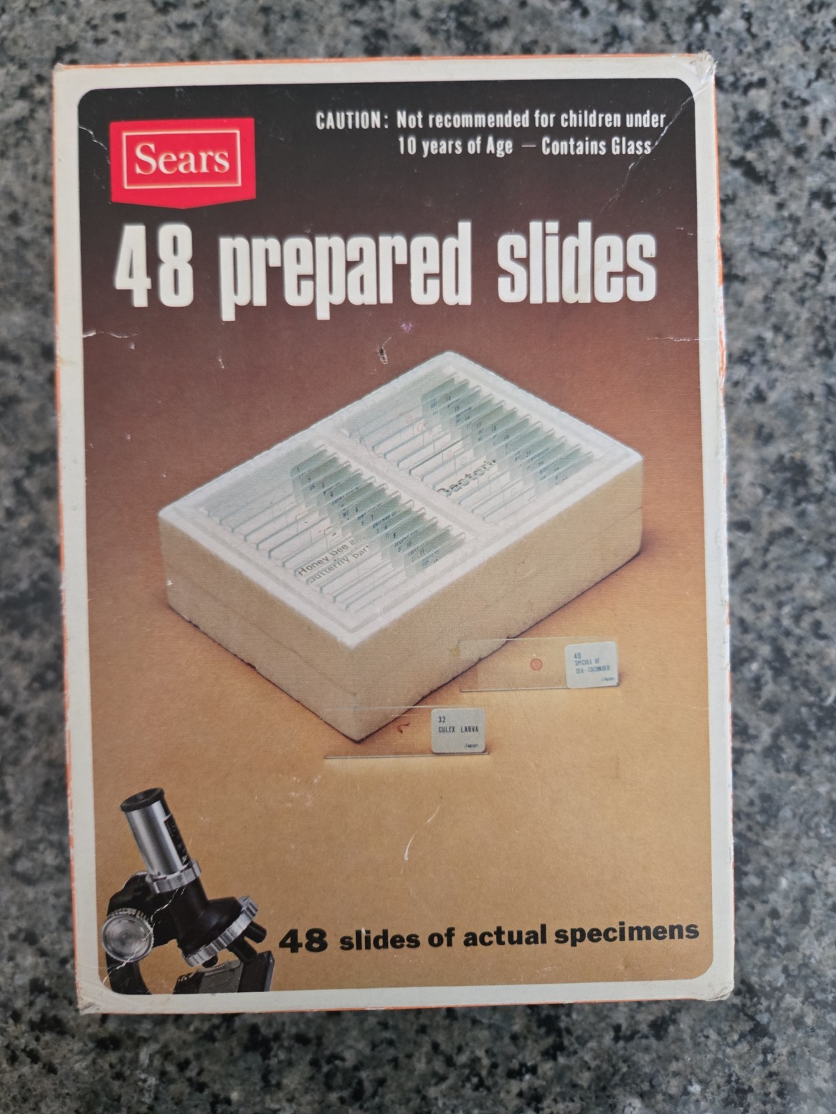 Sears Vintage 48 Prepared Slides Labeled Educational Actual Specimens