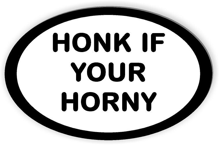 HONK IF YOUR HORNY OVAL magnet  Magnetic Bumper 5.5"x3.5 Funny Bumper Safety