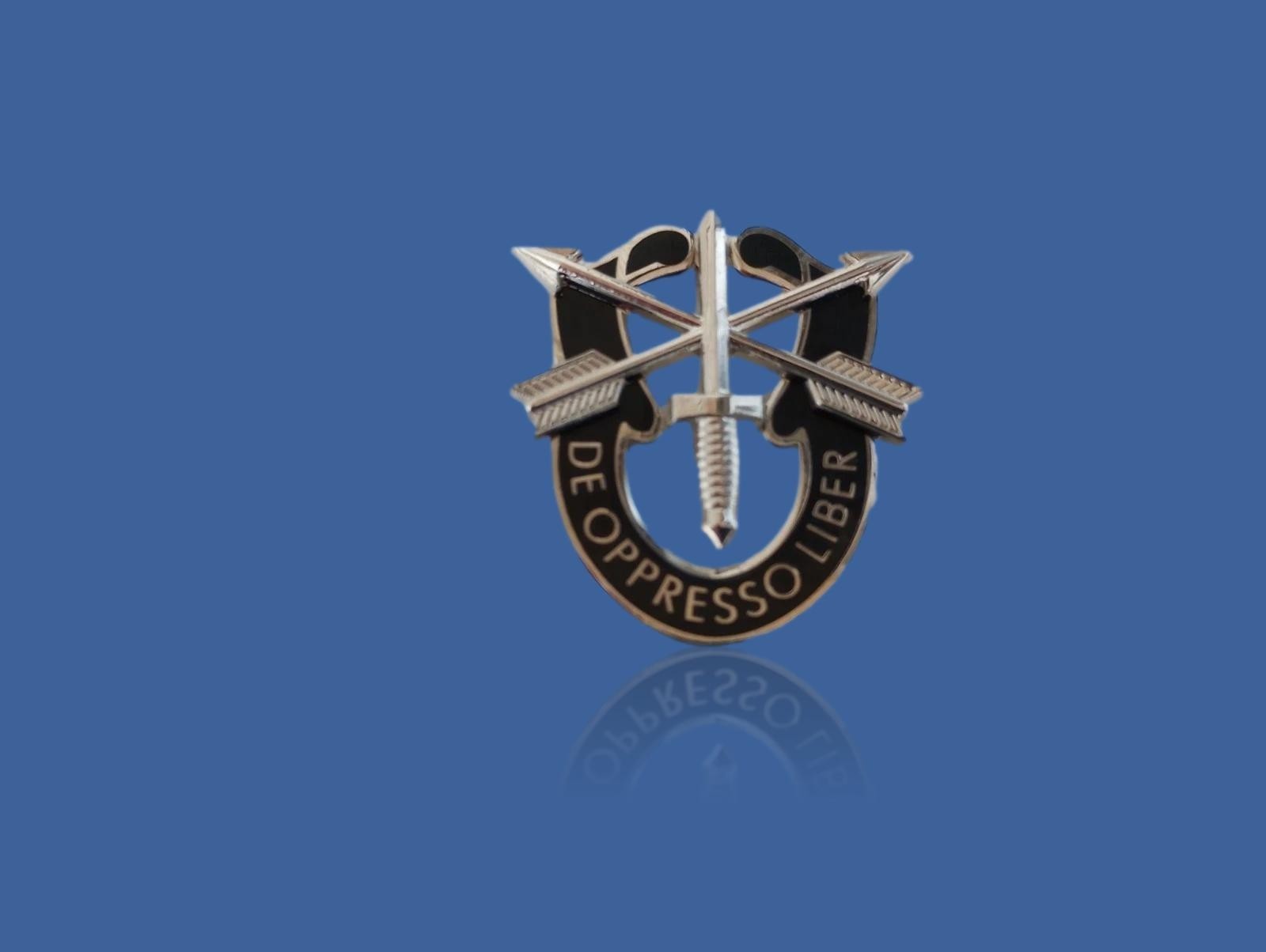 U.S MILITARY ARMY SPECIAL FORCES HAT PIN DE OPPRESSO LIBER FLASH BERET CAP PIN
